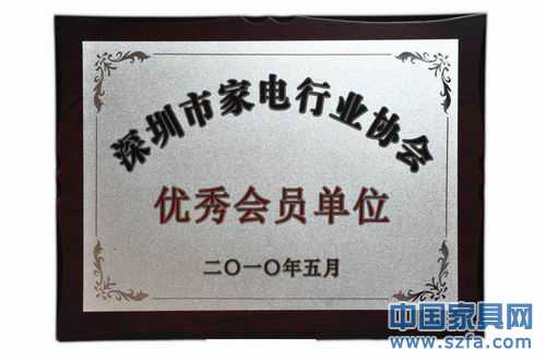 优秀会员单位