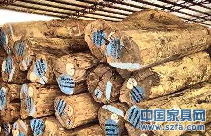 缅甸2012年木材产量将减少40% 或影响中国家具企业
