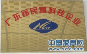 广东省 民营科技企业