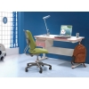 儿童桌椅、人体工学桌椅 办公家具 家私 精品网椅 大班椅