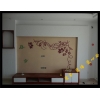 福州数码彩砂墙画