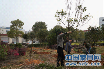 植树节蝶依斓员工再次植树120棵