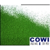 cowi绿茶粉致力于成为绿茶粉行业全球第一供应商