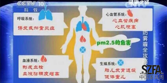  中国被霾，千年舟负离子板材助力突围