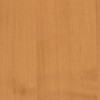 replasa门用木纹钢板上海晋强总代理|正规的西班牙进口 pvc仿木纹钢板，别错过上海晋强