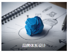 品牌体系设计