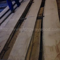 金威木业欧洲红橡 橡木 实木板 板材 毛边板 进口材 木板