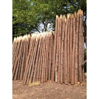 供应园林支撑木 防护 河道改造木 小杉木 小松木 人工岛围栏