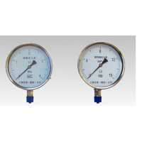 YT特种压力表具有优良的耐腐蚀性能广泛应用于石油、化工等企业