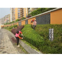 供应河南无病虫害的园林景观-河南私家庭院设计