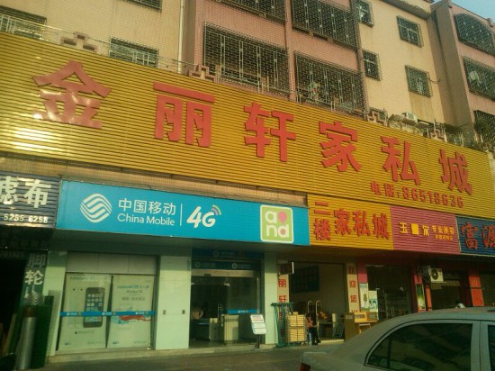 dg0056金丽轩家私城