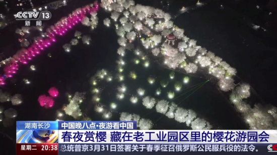 图片5
