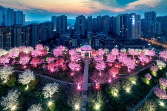 图片7
