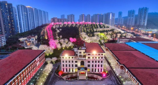 图片11