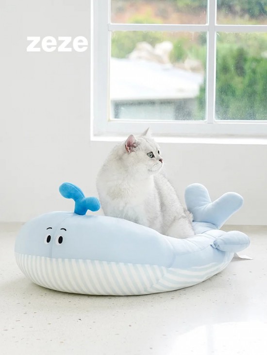 点击打开原图 宠物冰窝|谁能拒绝一只冰冰凉凉的小鲸鱼呢_1_zeze_来自小红书网页版