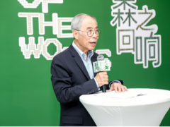 「森之回响」再启新程！ 美国阔叶木2025当代设计作品巡展杭州站即将揭幕