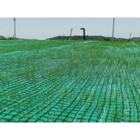 2026年1月植生毯厂家推荐，生态性能与工程适配双维测评