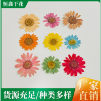 东莞恒鑫干花厂家推荐：以天然干花解锁空间美学需求