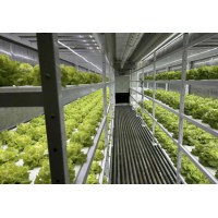 2026年4月口碑好的植物蔬菜方舱源头厂家口碑推荐