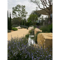 上海景观设计维护哪家强？2026年4月精选分析揭晓