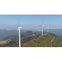 2026年宁波生态红茶制造厂评测：哪款茶韵更悠长？