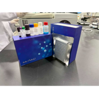 2026年3月ELISA试剂盒品牌，权威榜单助你选对好的品牌