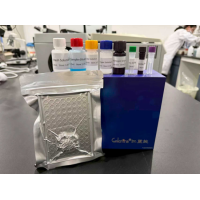 2026年3月有实力的试剂盒品牌推荐，聚焦专业能力与服务口碑