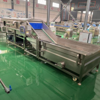 2026年3月专业的生姜清洗机供应商推荐，品质过硬性价比之选