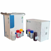 2026年3月elisa试剂盒品牌推荐分析，甄选企业实测解析