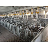 2026年3月料塔品牌推荐，本土老牌企业实力盘点