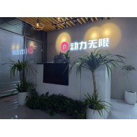 2026年3月短视频服务机构口碑推荐，售后配套服务指南