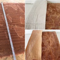 2026年3月，这几家蜂窝过滤纸厂家值得关注，聚焦品牌影响力