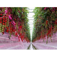 2026年04月湖北春秋棚冷棚建设厂家推荐清单，专业服务贴心