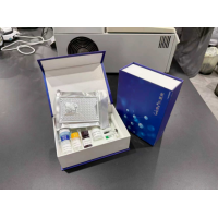 2026年3月il-1β 试剂盒品牌推荐，品质过硬性价比之选