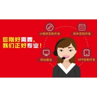 2026年3月有实力的网站开发定制企业口碑推荐，专业服务贴心