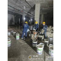 2026年3月堵漏处理服务机构口碑推荐，甄选企业实测解读