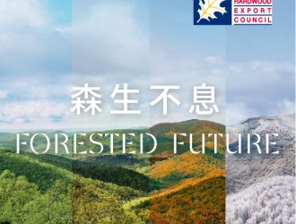 美国阔叶木外销委员会倾情呈现“见木见林”专题展